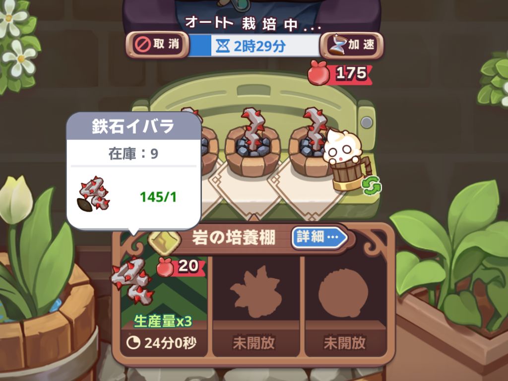 イバラ