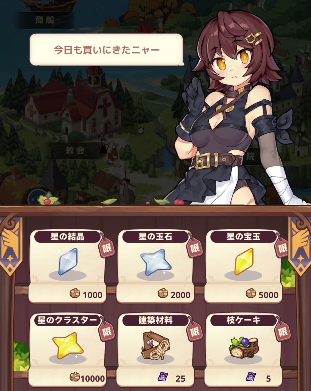 珍品の店