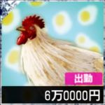 コケコッ子