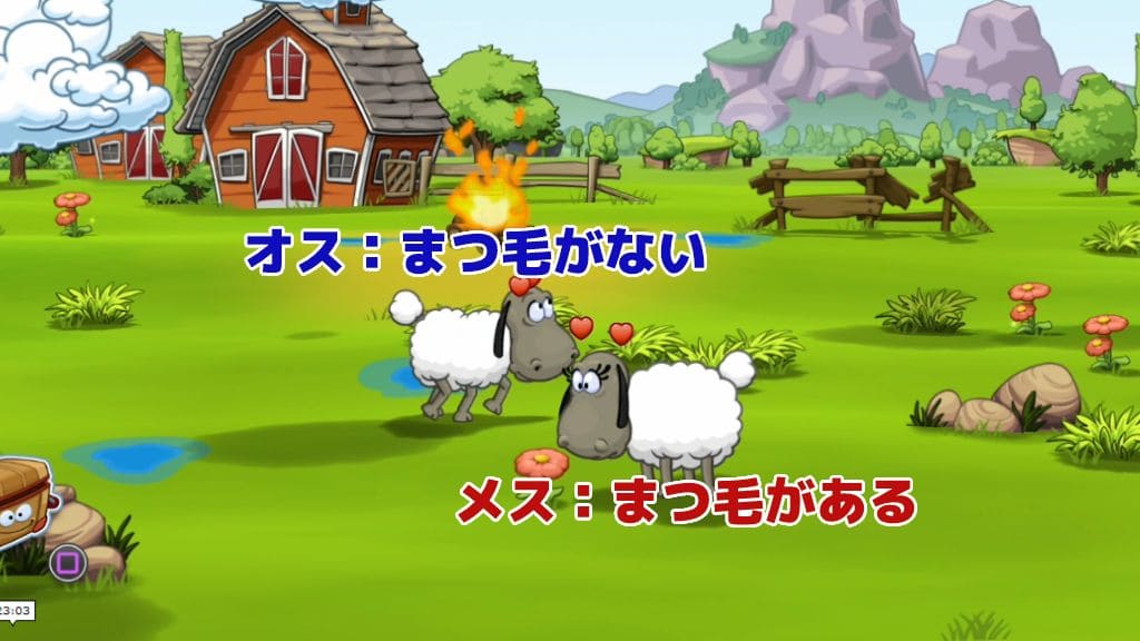 オス羊とメス羊の見分け方