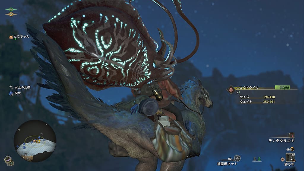 モンスターイカハンター ニュウドウイカ
